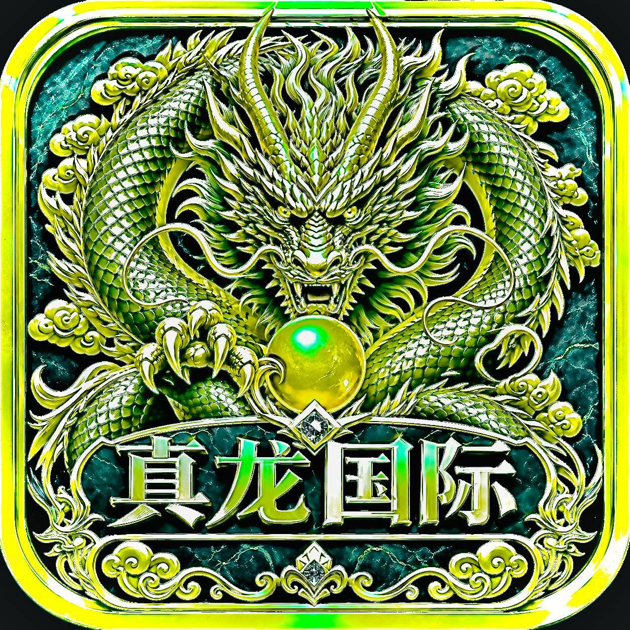 真龙国际